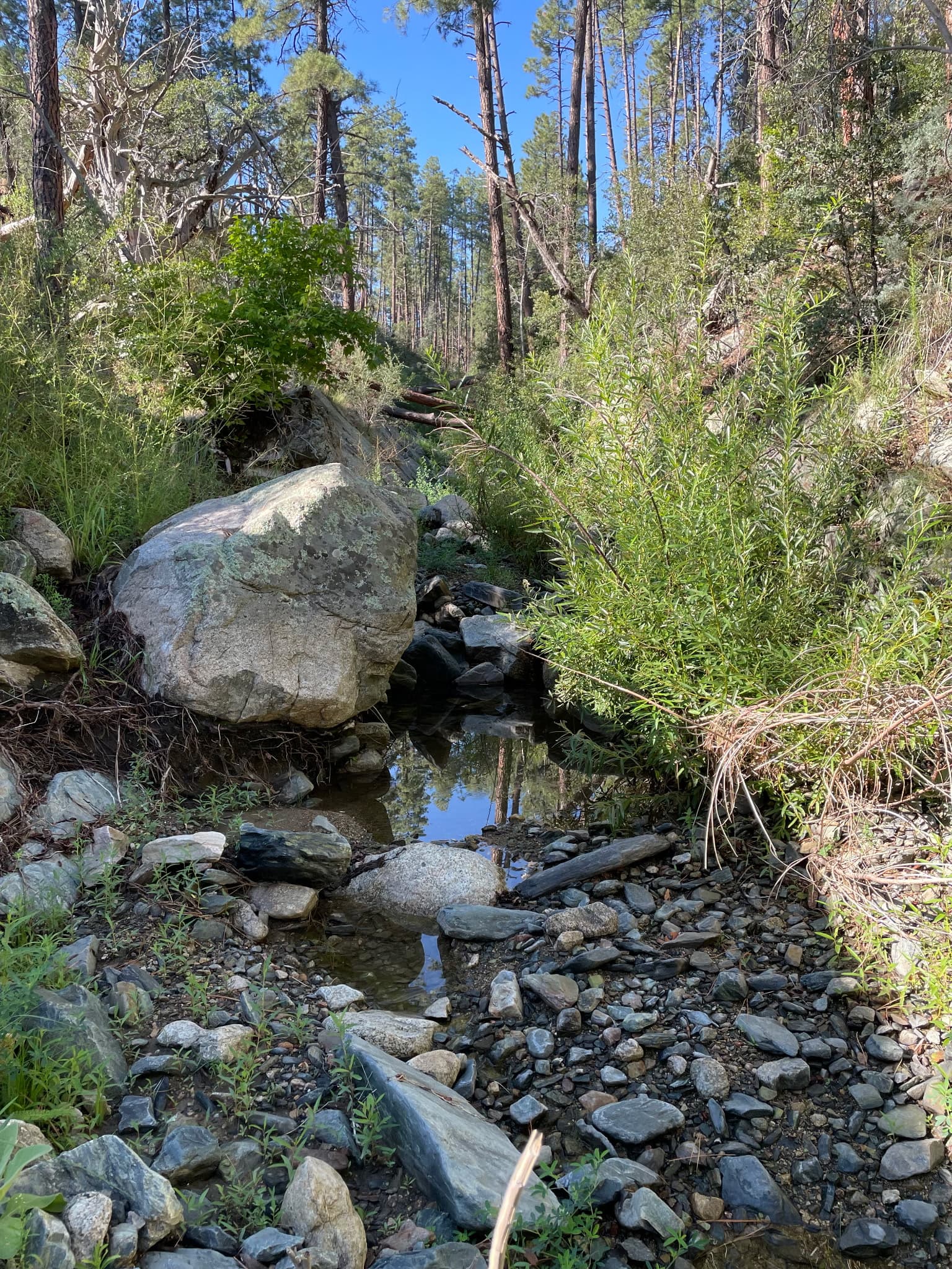 Chunky Gold Claims Near Crown King, Arizona
